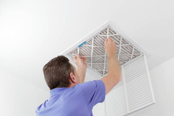 Best Home Air Vent Cleaning  in Port Sulphur, LA